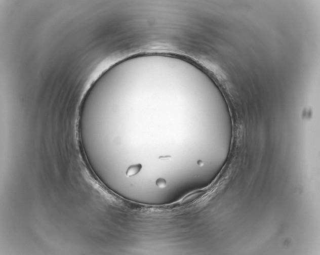 X0000093361374200711011158