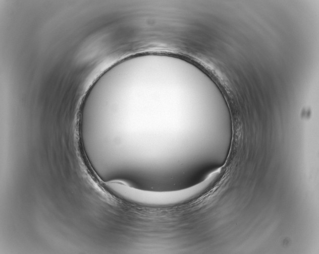 X0000093361375200711011158