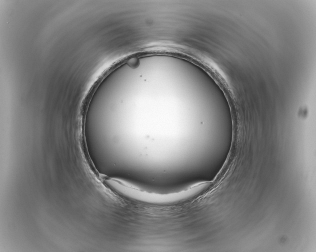 X0000093361376200711011158