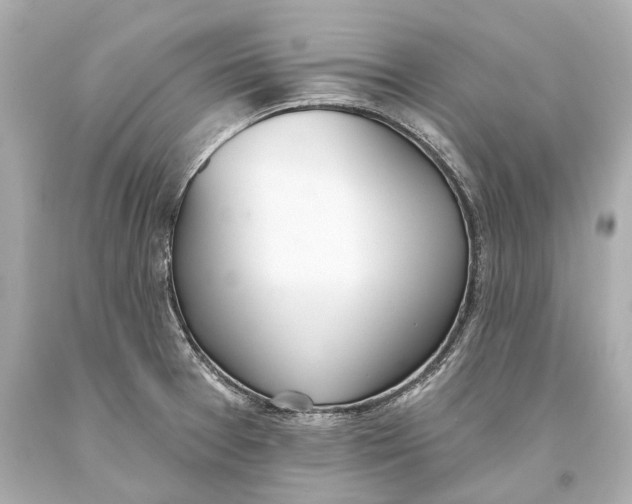 X0000093361377200711011158