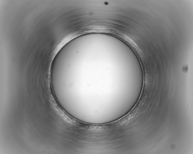 X0000093361378200711011158