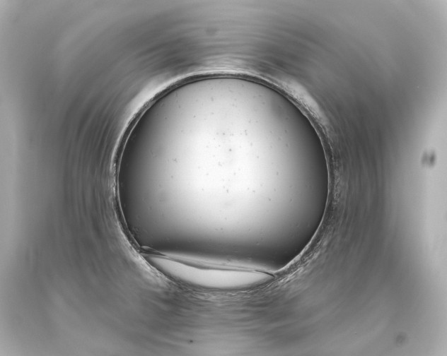 X0000093361380200711011158