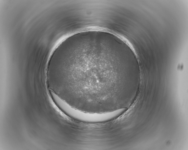 X0000093361381200711011158