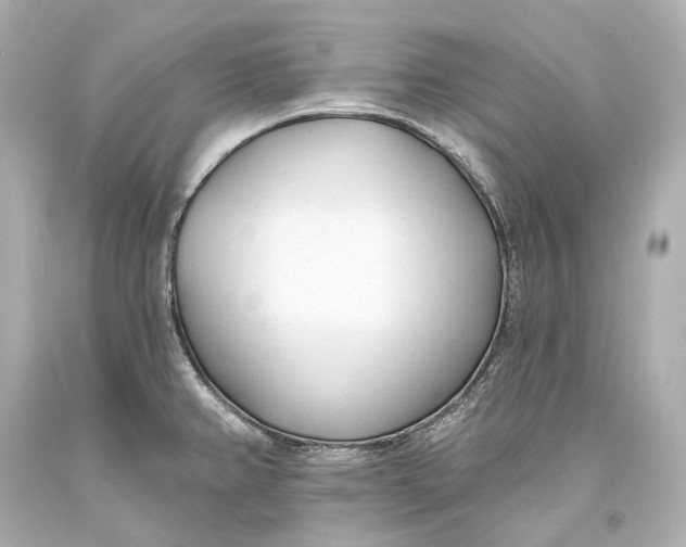 X0000093361382200711011158