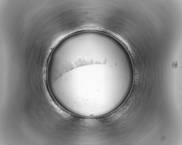 X0000093361383200711011158