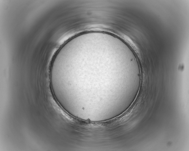 X0000093361384200711011158