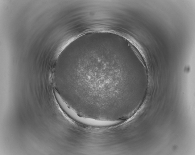 X0000093361385200711011158