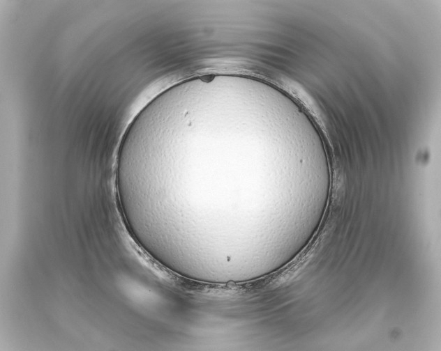 X0000093361386200711011158