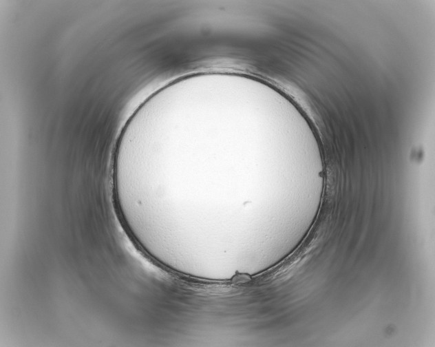 X0000093361387200711011158