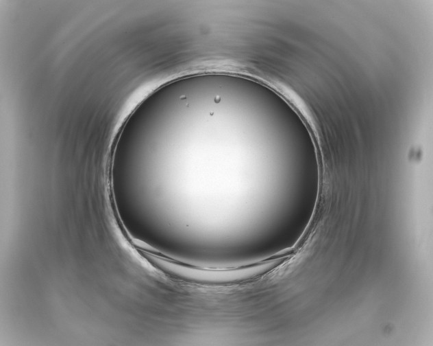 X0000093361389200711011158