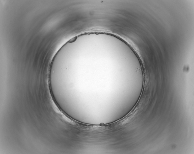 X0000093361390200711011158