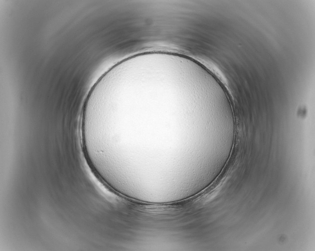 X0000093361391200711011158