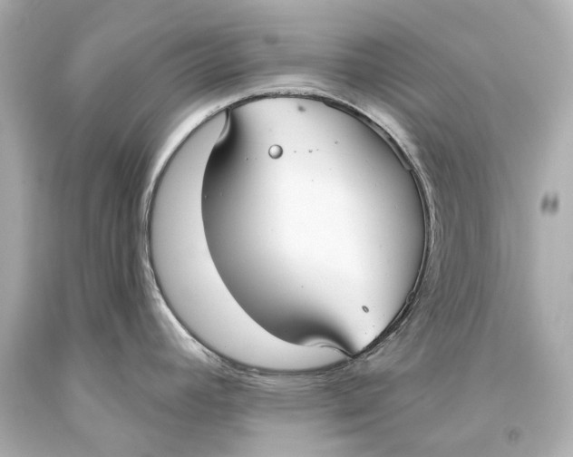 X0000093361392200711011158