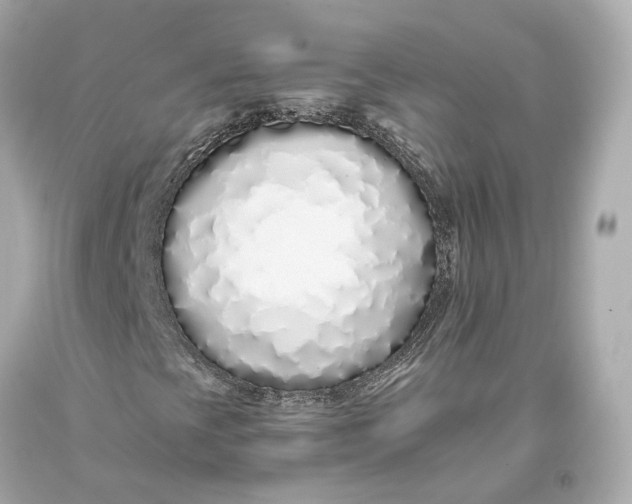 X0000093361393200711011157