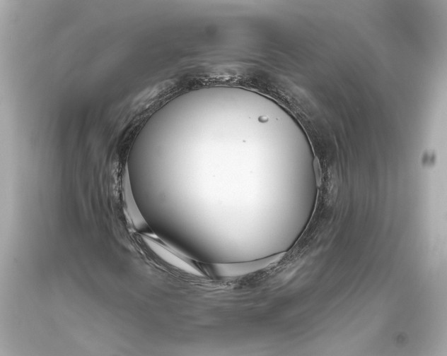 X0000093361394200711011157