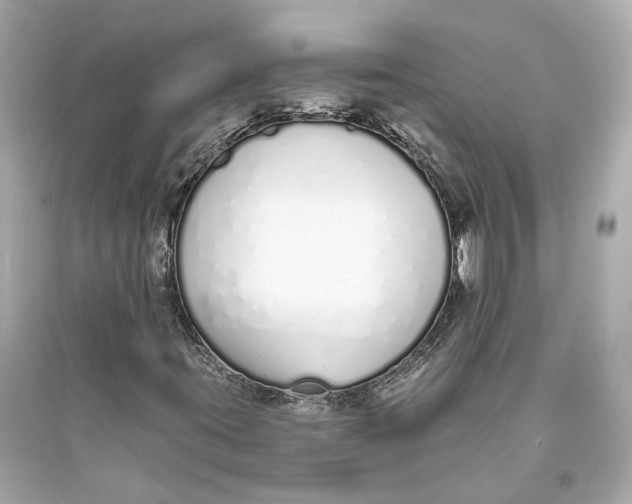 X0000093361395200711011157