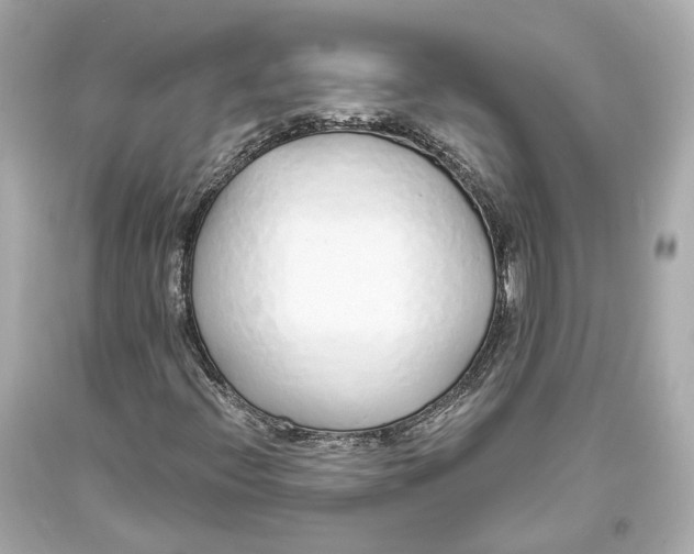 X0000093361396200711011157