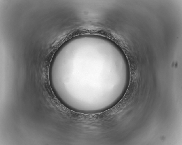 X0000093361397200711011157