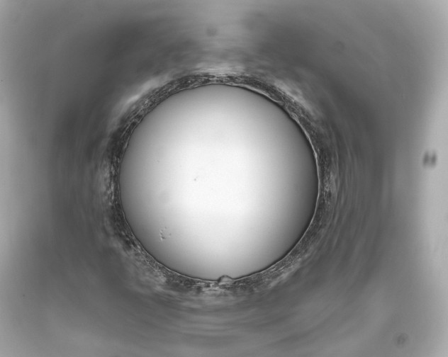 X0000093361398200711011157