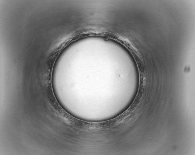 X0000093361399200711011157