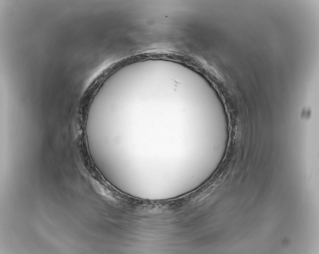 X0000093361400200711011157