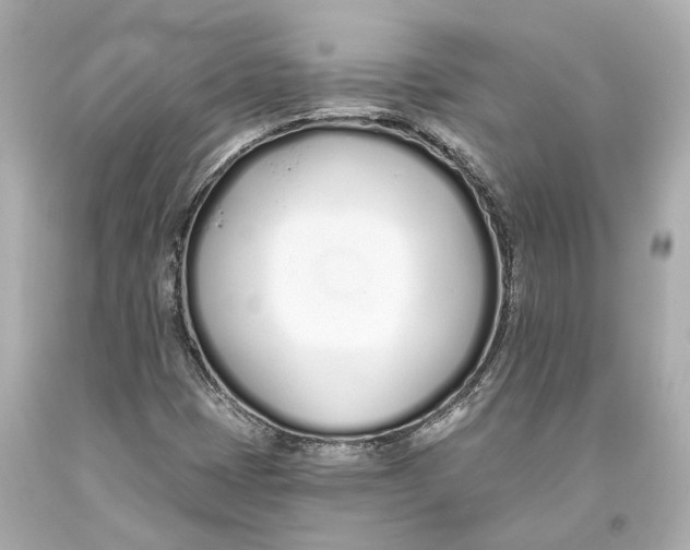 X0000093361401200711011157