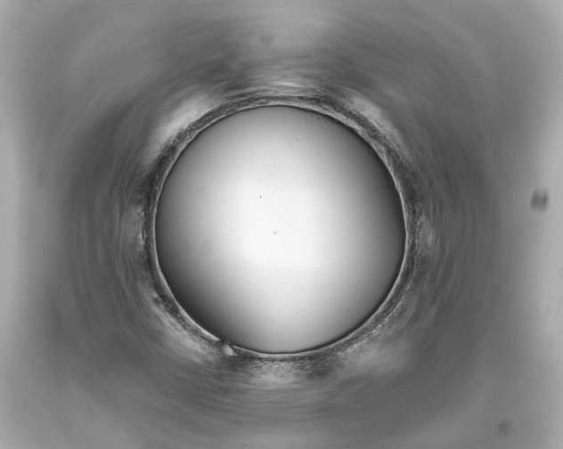 X0000093361402200711011157