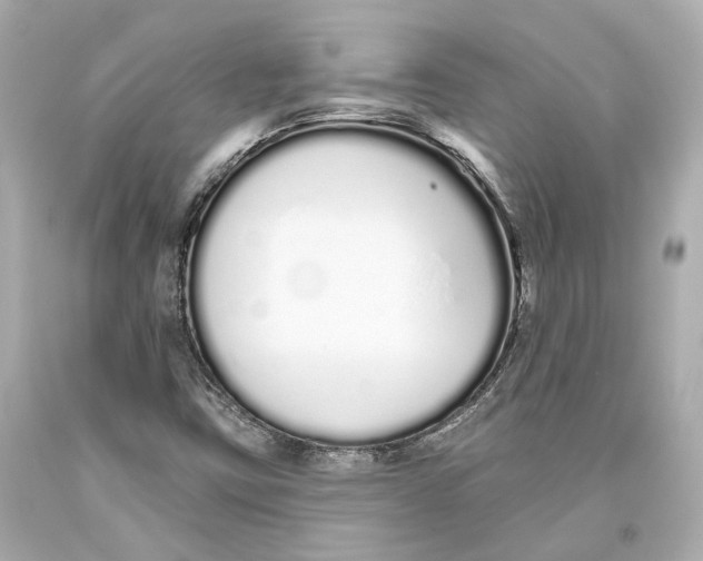 X0000093361403200711011157