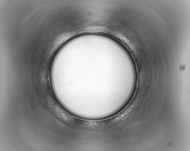 X0000093361405200711011158