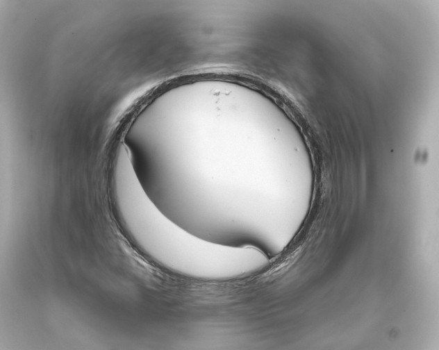 X0000093361406200711011158