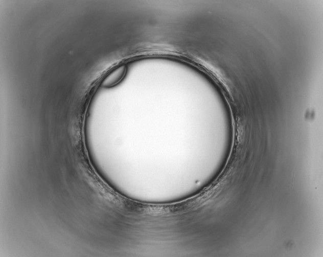 X0000093361407200711011158