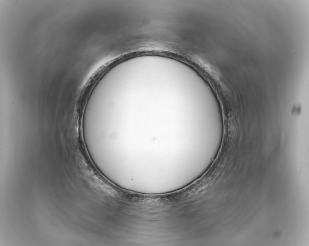 X0000093361408200711011158