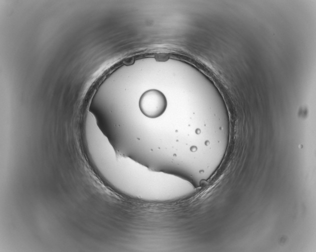 X0000093361410200711011158