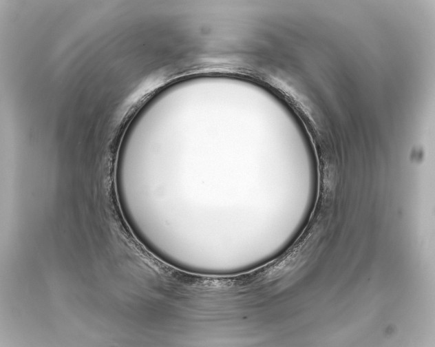 X0000093361411200711011158