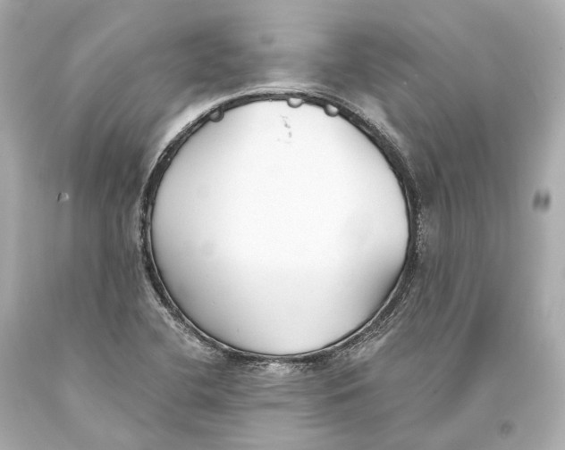 X0000093361412200711011158