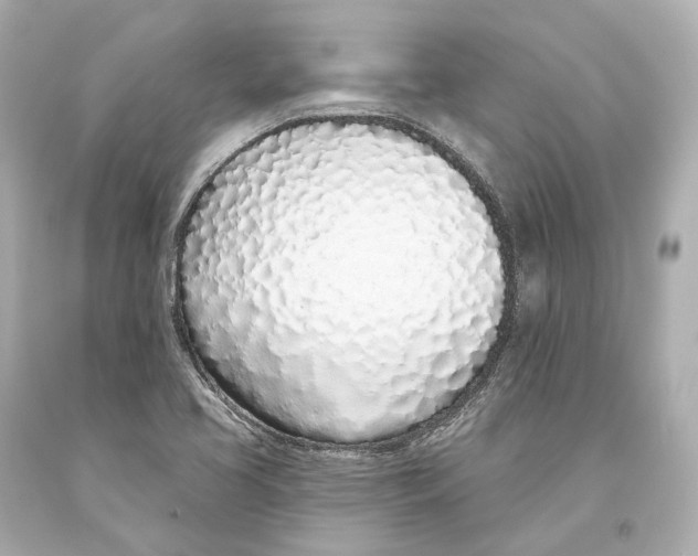 X0000093361413200711011158