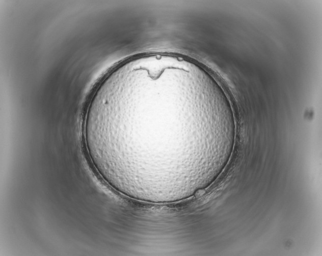 X0000093361416200711011158