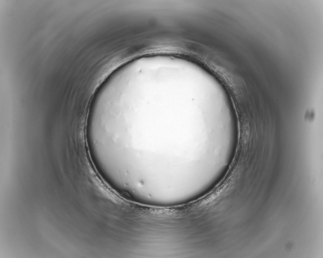 X0000093361417200711011158