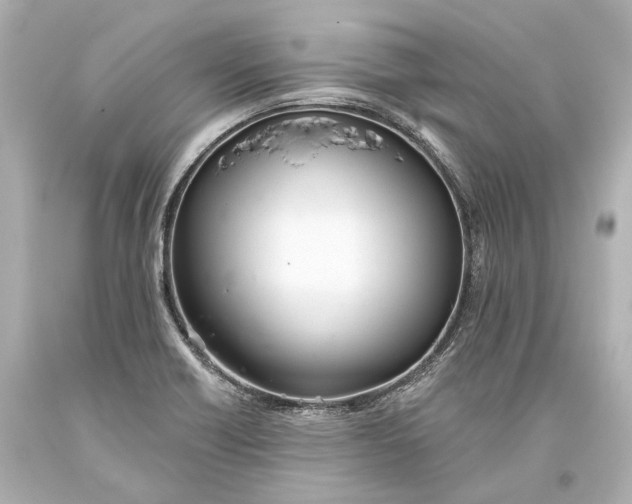 X0000093361418200711011158