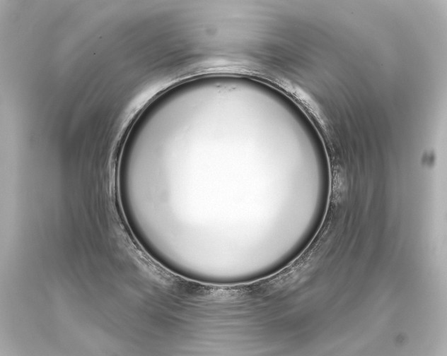 X0000093361419200711011158