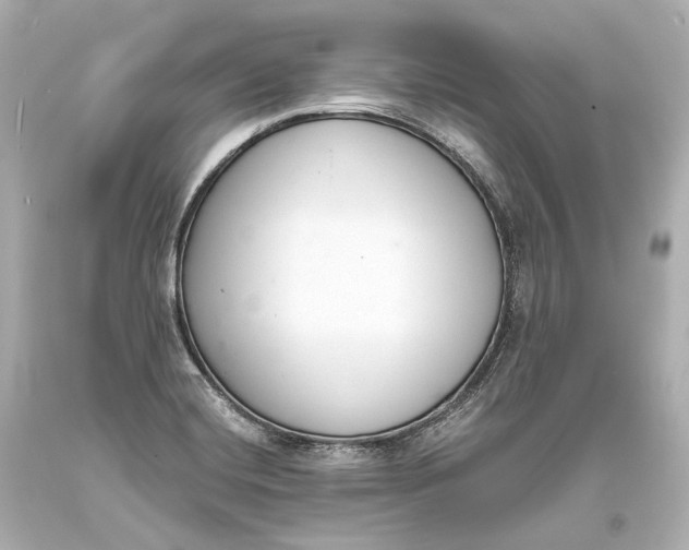 X0000093361420200711011158