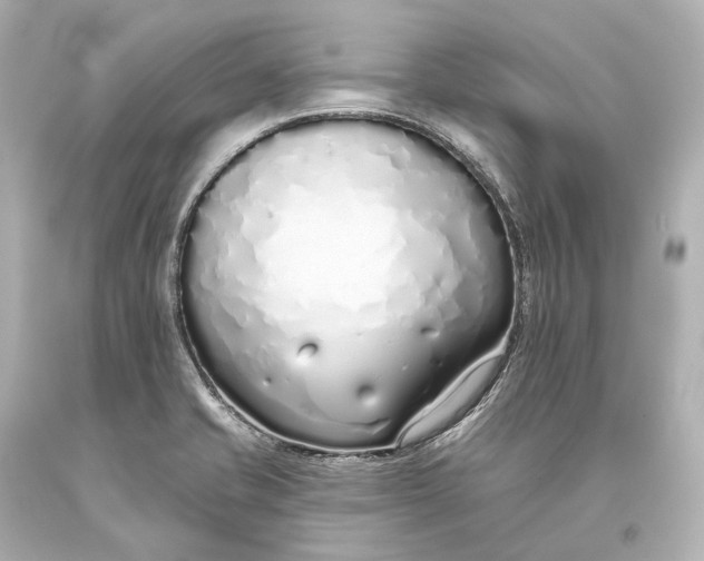 X0000093361421200711011158