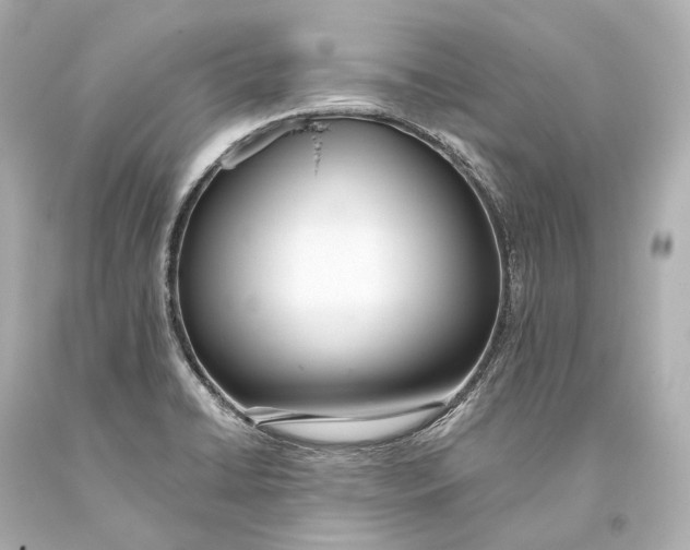 X0000093361422200711011158