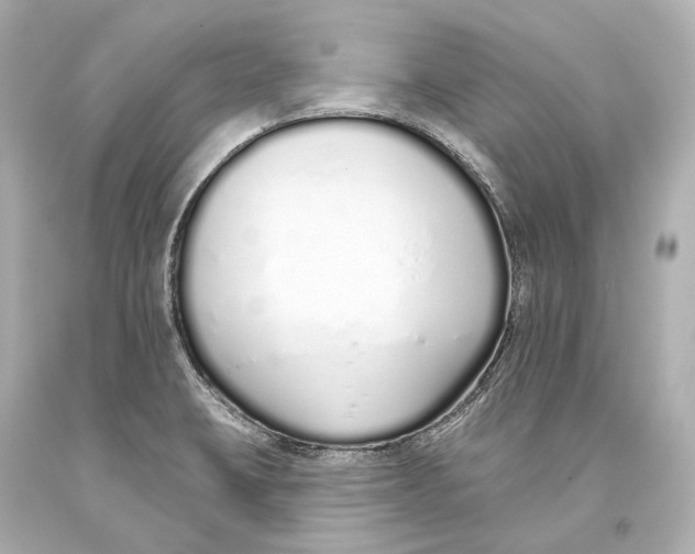 X0000093361423200711011158