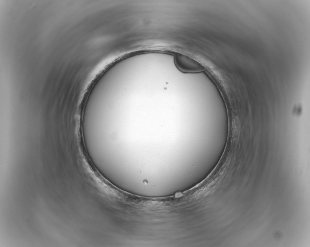 X0000093361424200711011158