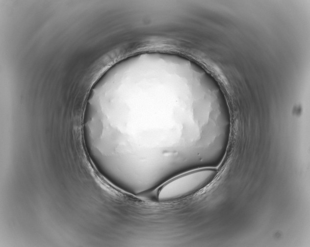 X0000093361425200711011158