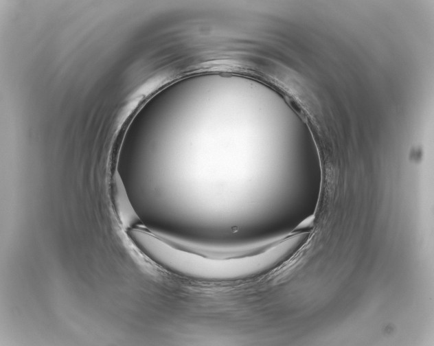 X0000093361426200711011158