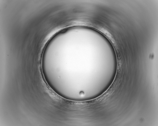 X0000093361427200711011158