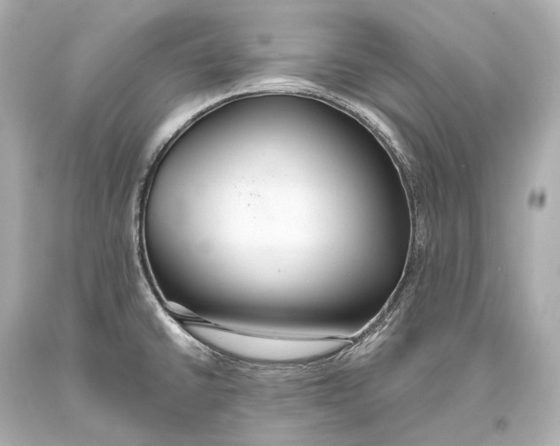 X0000093361430200711011158