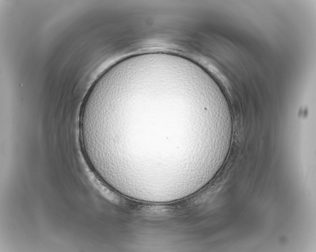 X0000093361431200711011158